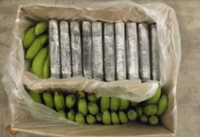 Kokain vrijedan 300 milijuna funti pronađen u pošiljci banana