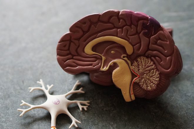 Evo što devet najčešće korištenih droga rade mozgu