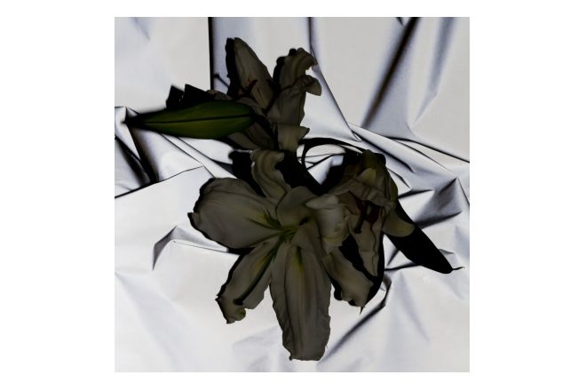 Premijera: XVIII - Diapason